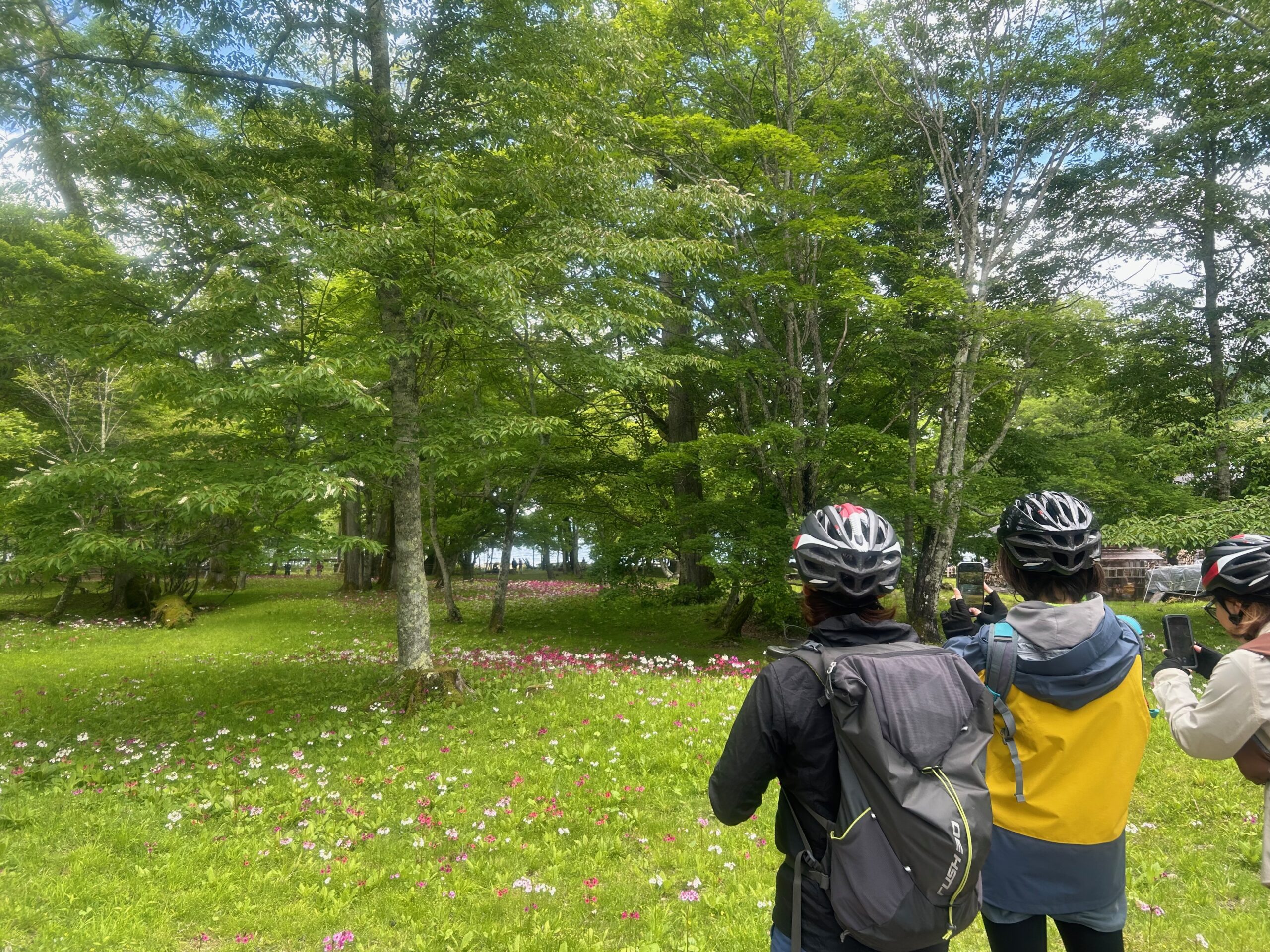 ホーム - 日光サイクリングシエル | 奥日光のeバイクツアー